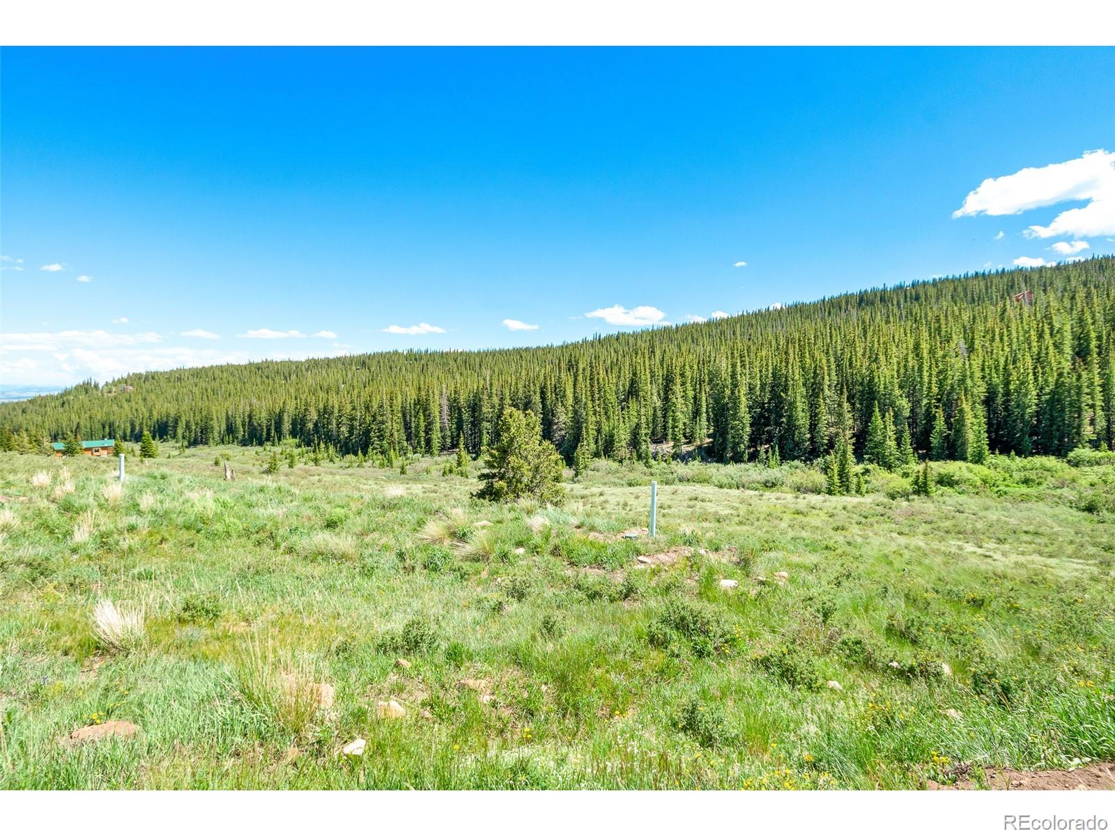 MLS Image #42 for 1204  zebulon street,fairplay, Colorado