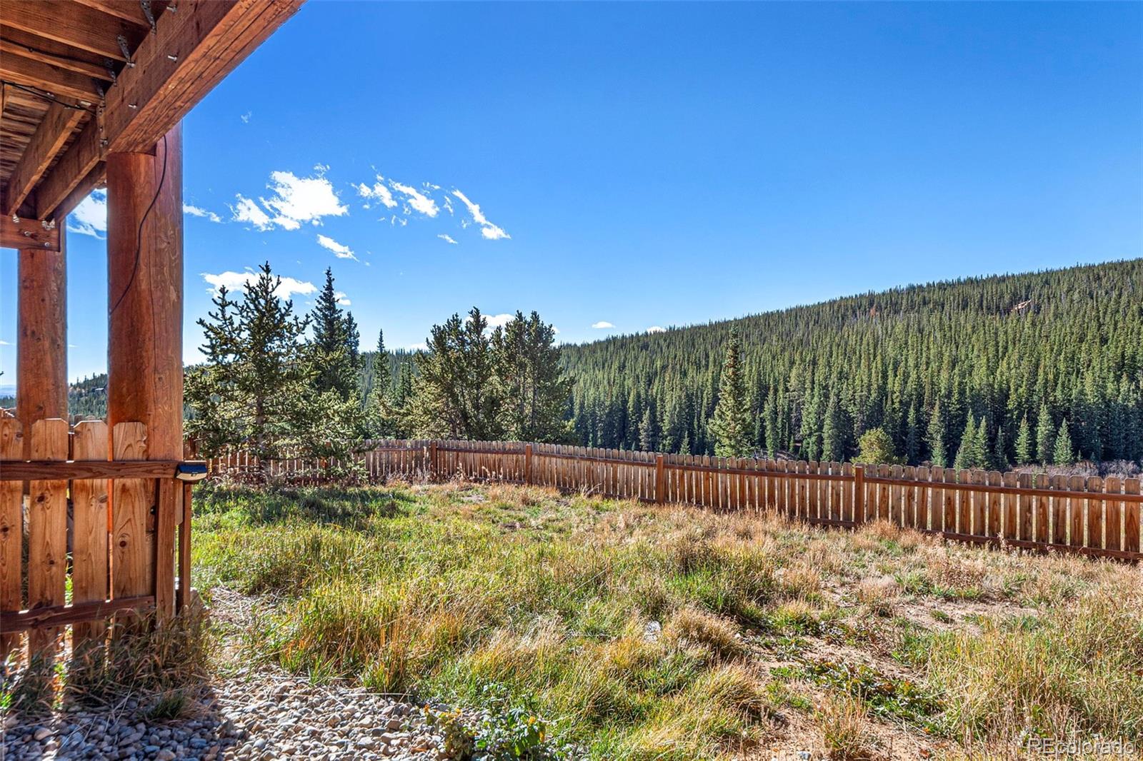 MLS Image #45 for 1204  zebulon street,fairplay, Colorado