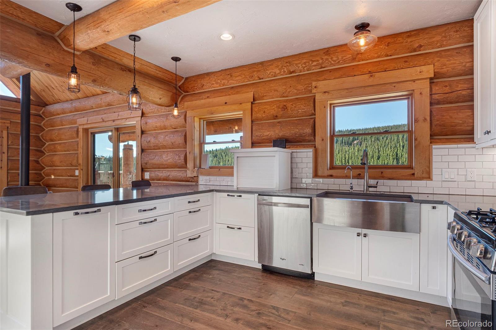MLS Image #6 for 1204  zebulon street,fairplay, Colorado