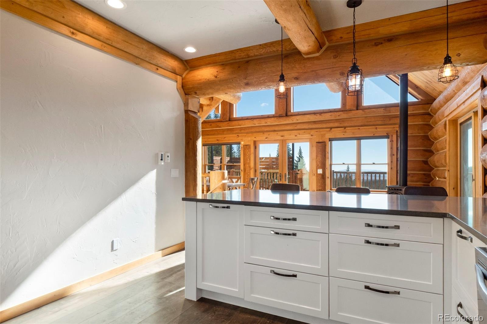 MLS Image #7 for 1204  zebulon street,fairplay, Colorado