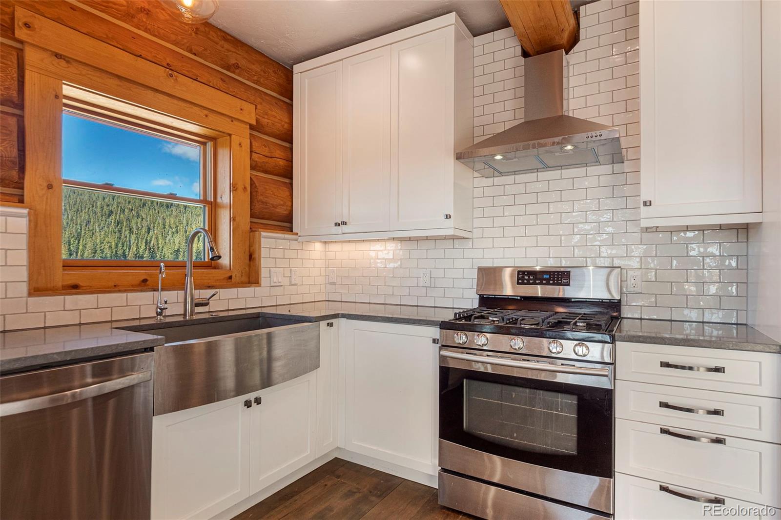 MLS Image #8 for 1204  zebulon street,fairplay, Colorado