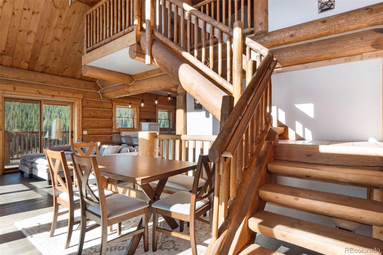 MLS Image #9 for 1204  zebulon street,fairplay, Colorado