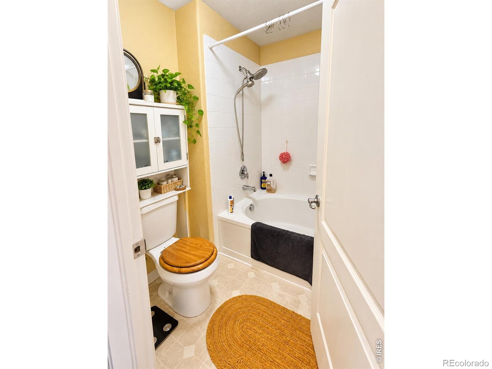 MLS Image #10 for 4655  hahns peak drive,loveland, Colorado