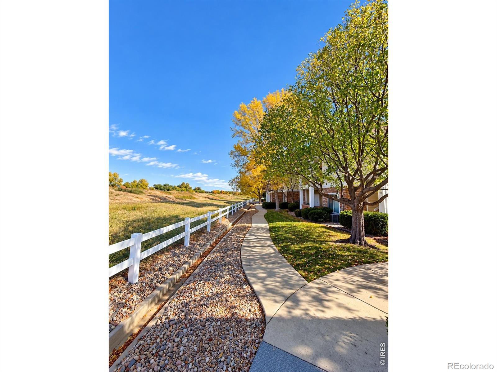 MLS Image #16 for 4655  hahns peak drive,loveland, Colorado