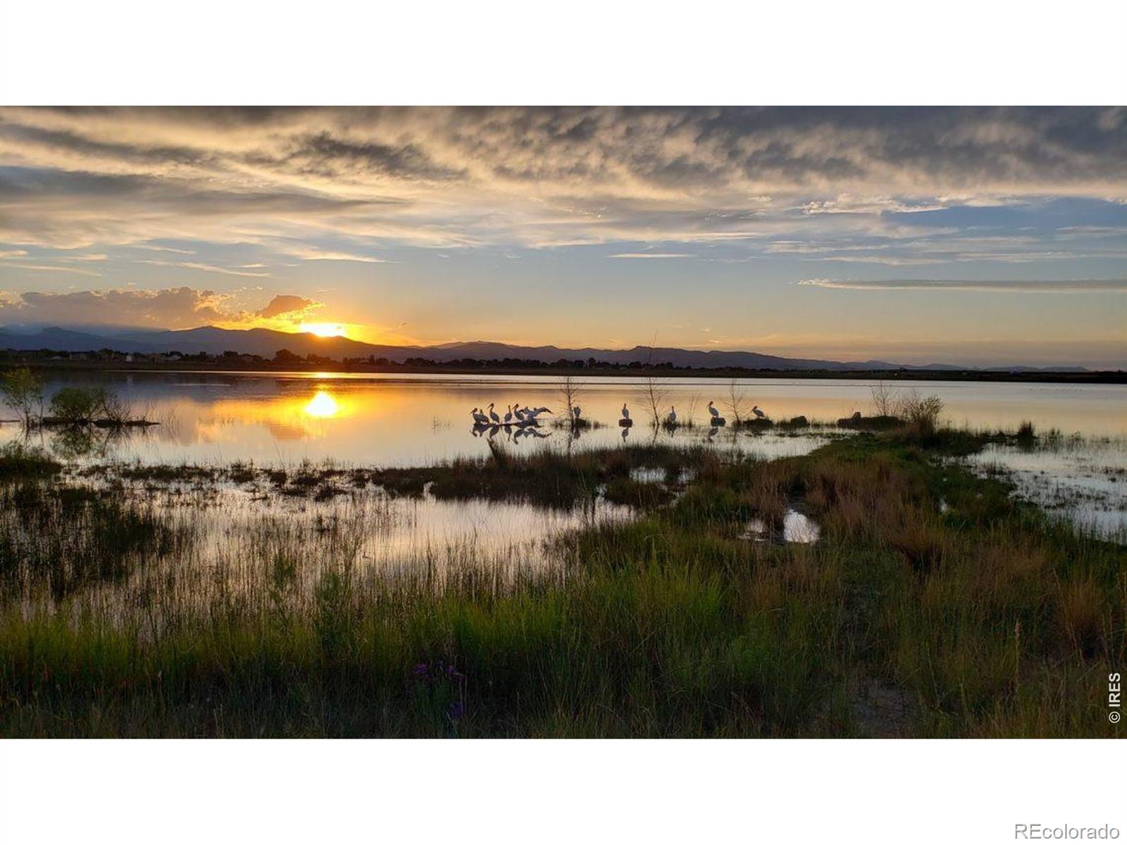 MLS Image #18 for 4655  hahns peak drive,loveland, Colorado