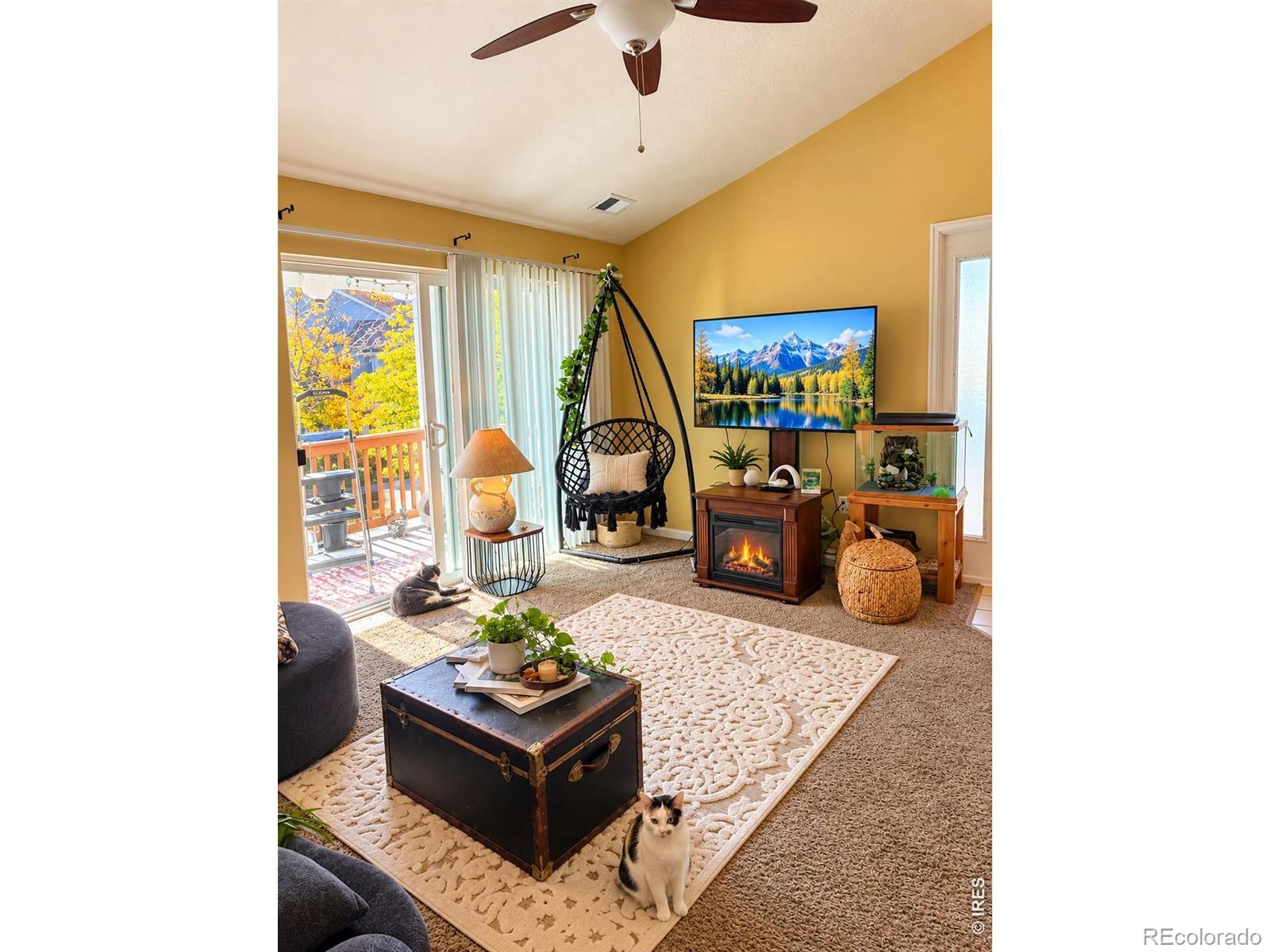 MLS Image #2 for 4655  hahns peak drive,loveland, Colorado