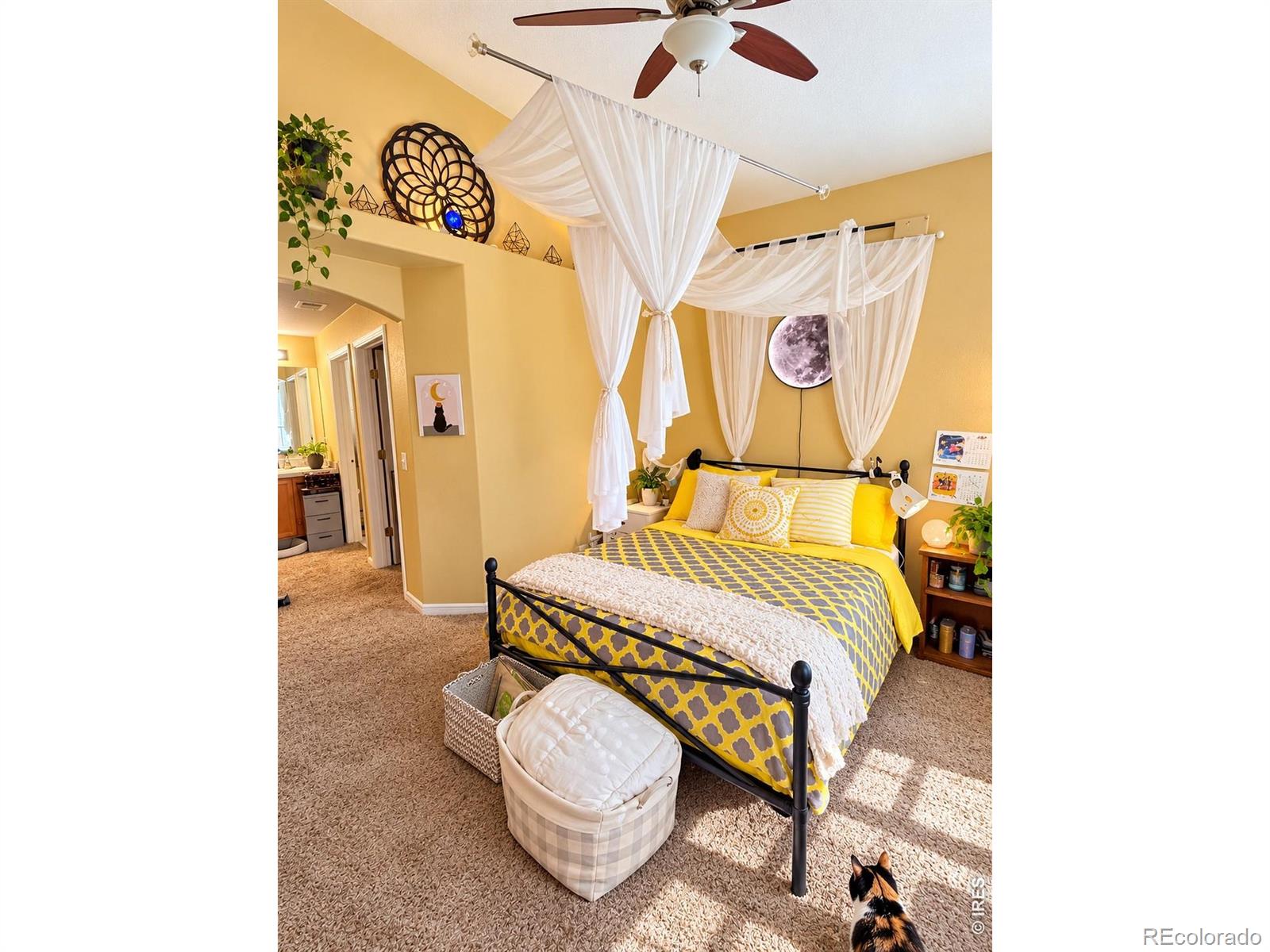 MLS Image #8 for 4655  hahns peak drive,loveland, Colorado