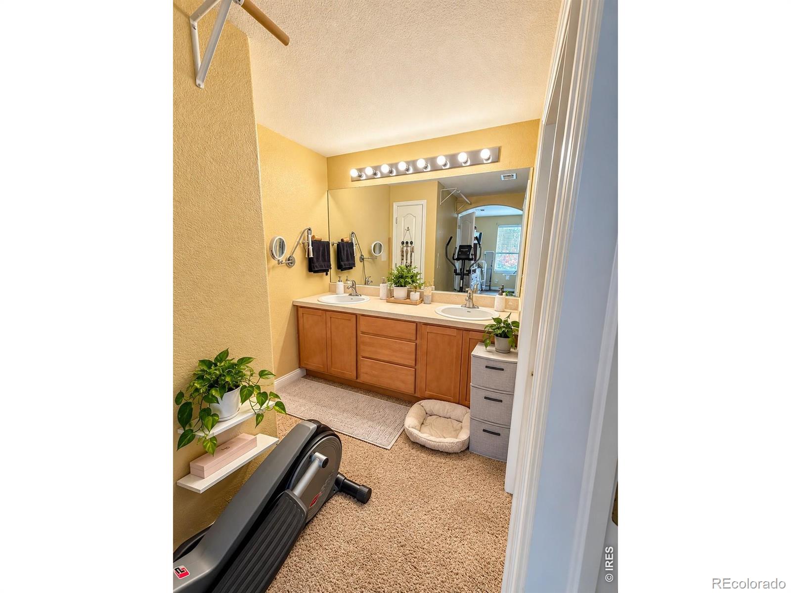 MLS Image #9 for 4655  hahns peak drive,loveland, Colorado