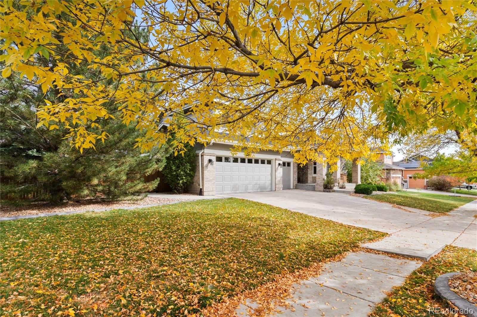 MLS Image #2 for 4631  tumbleweed drive,brighton, Colorado