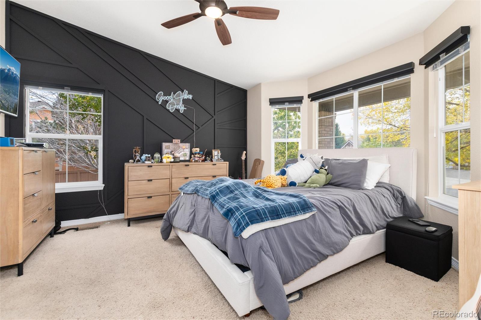 MLS Image #30 for 4631  tumbleweed drive,brighton, Colorado