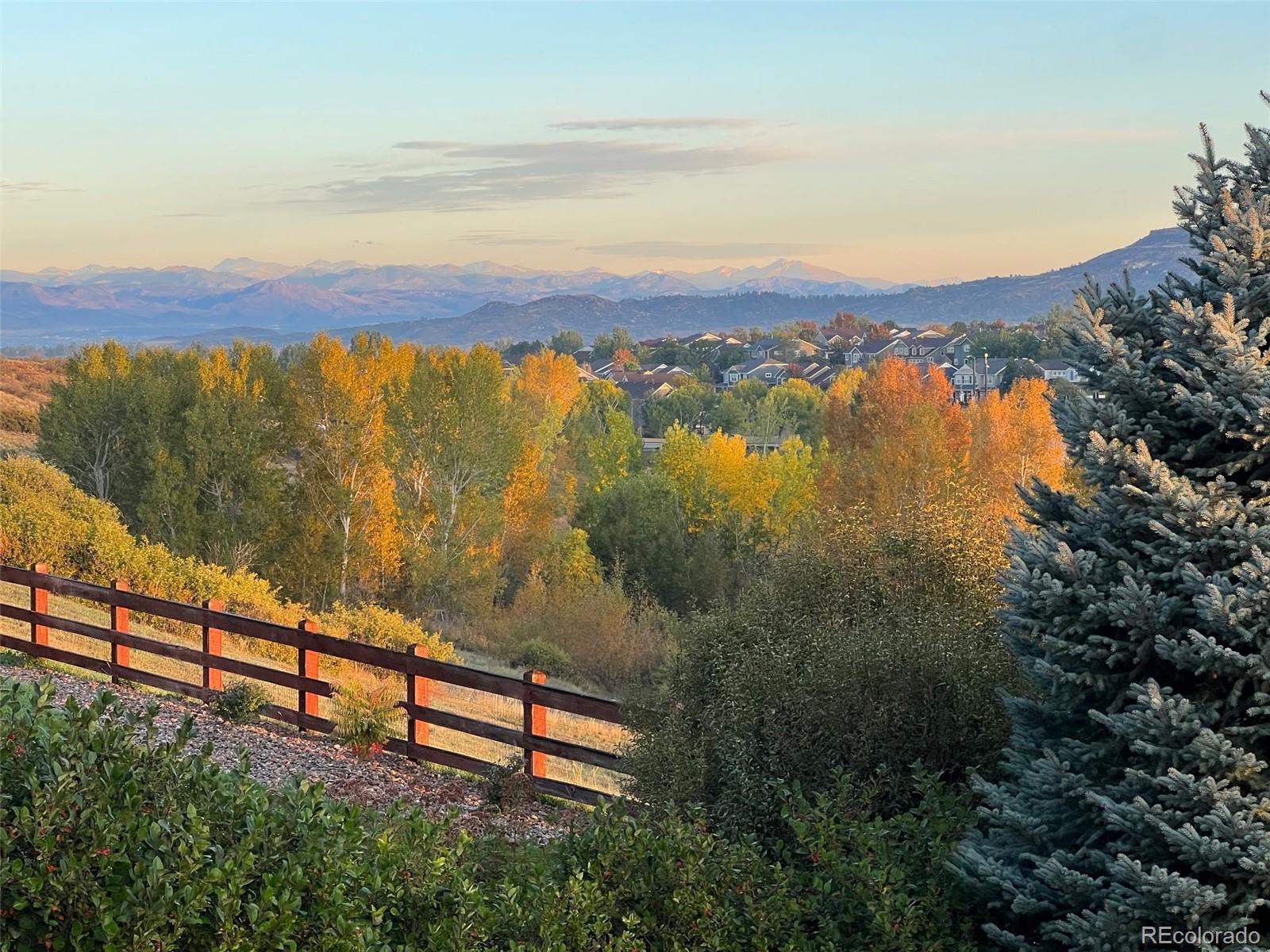 MLS Image #3 for 4175  thistlesage court,castle rock, Colorado