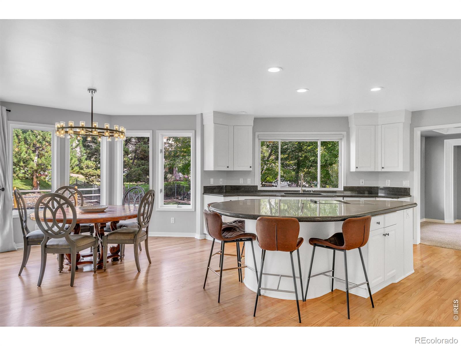 MLS Image #14 for 11413 w asbury court,lakewood, Colorado
