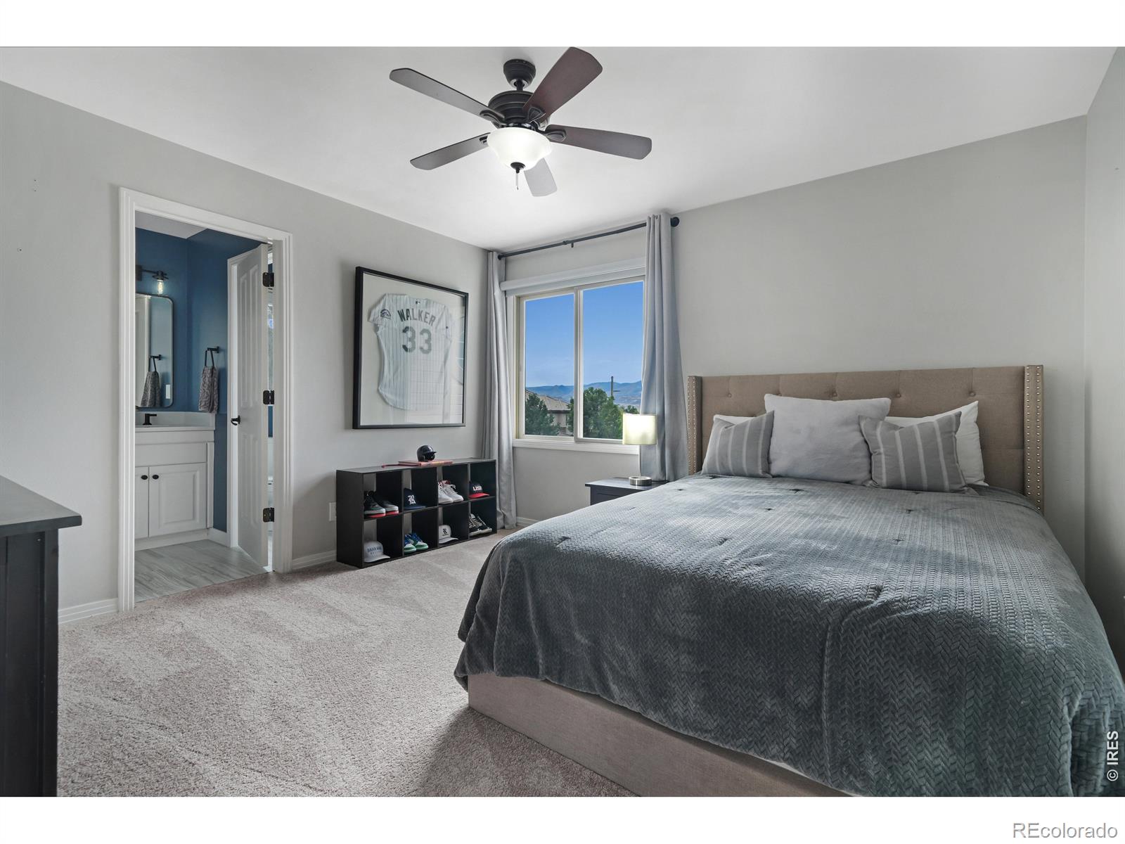 MLS Image #25 for 11413 w asbury court,lakewood, Colorado