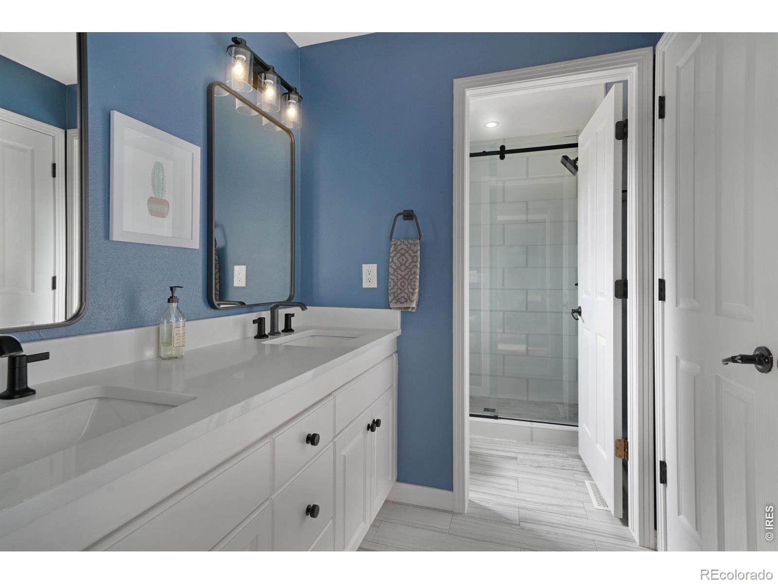 MLS Image #26 for 11413 w asbury court,lakewood, Colorado