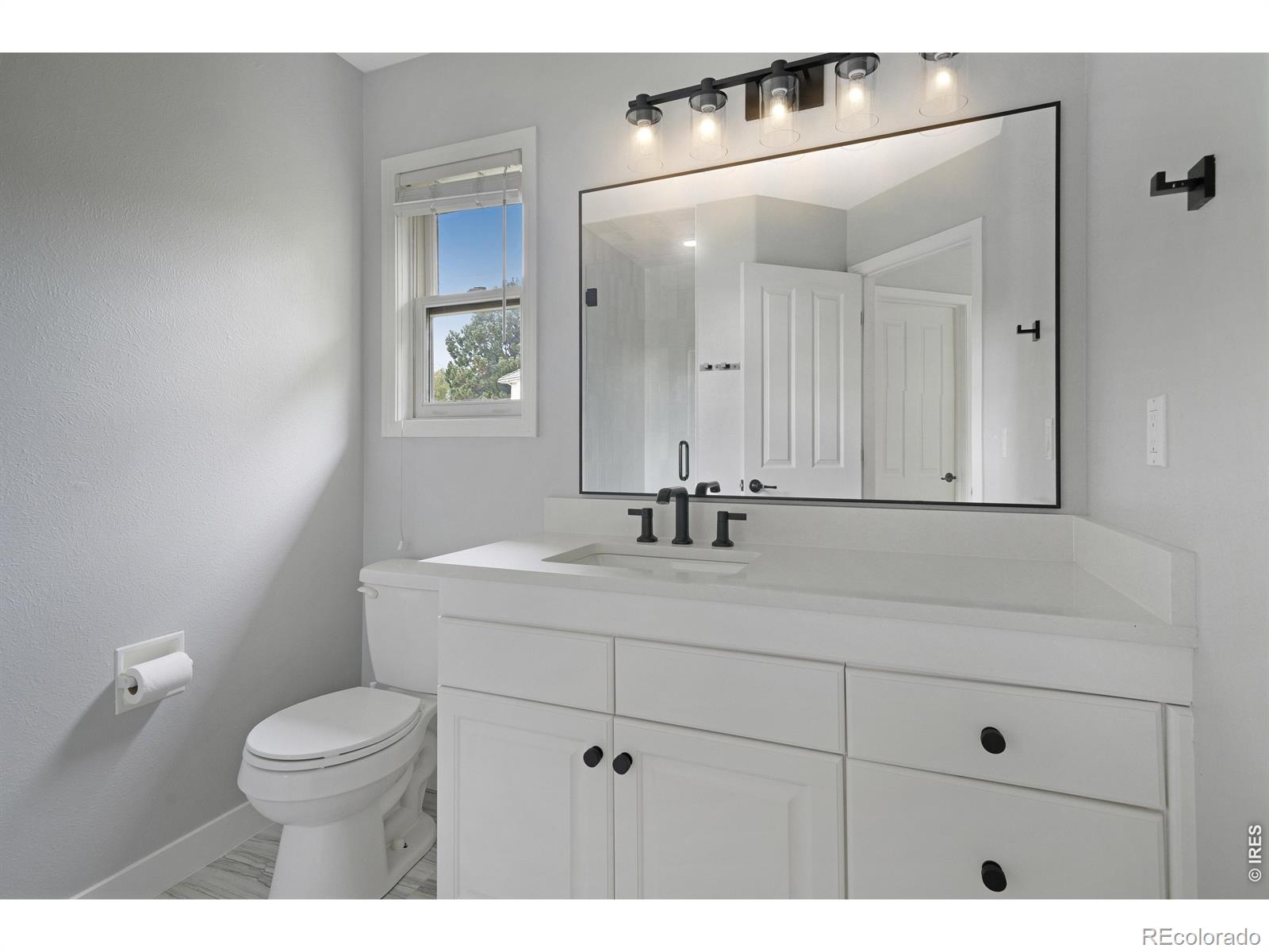 MLS Image #29 for 11413 w asbury court,lakewood, Colorado
