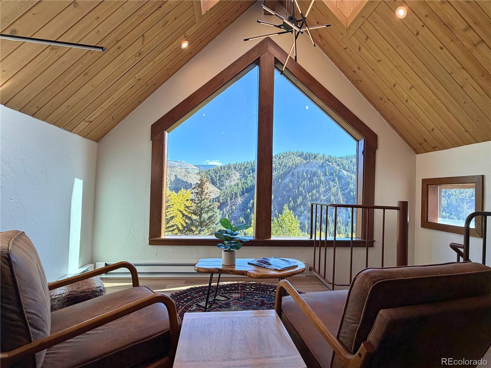MLS Image #16 for 377  holden road,beaver creek, Colorado