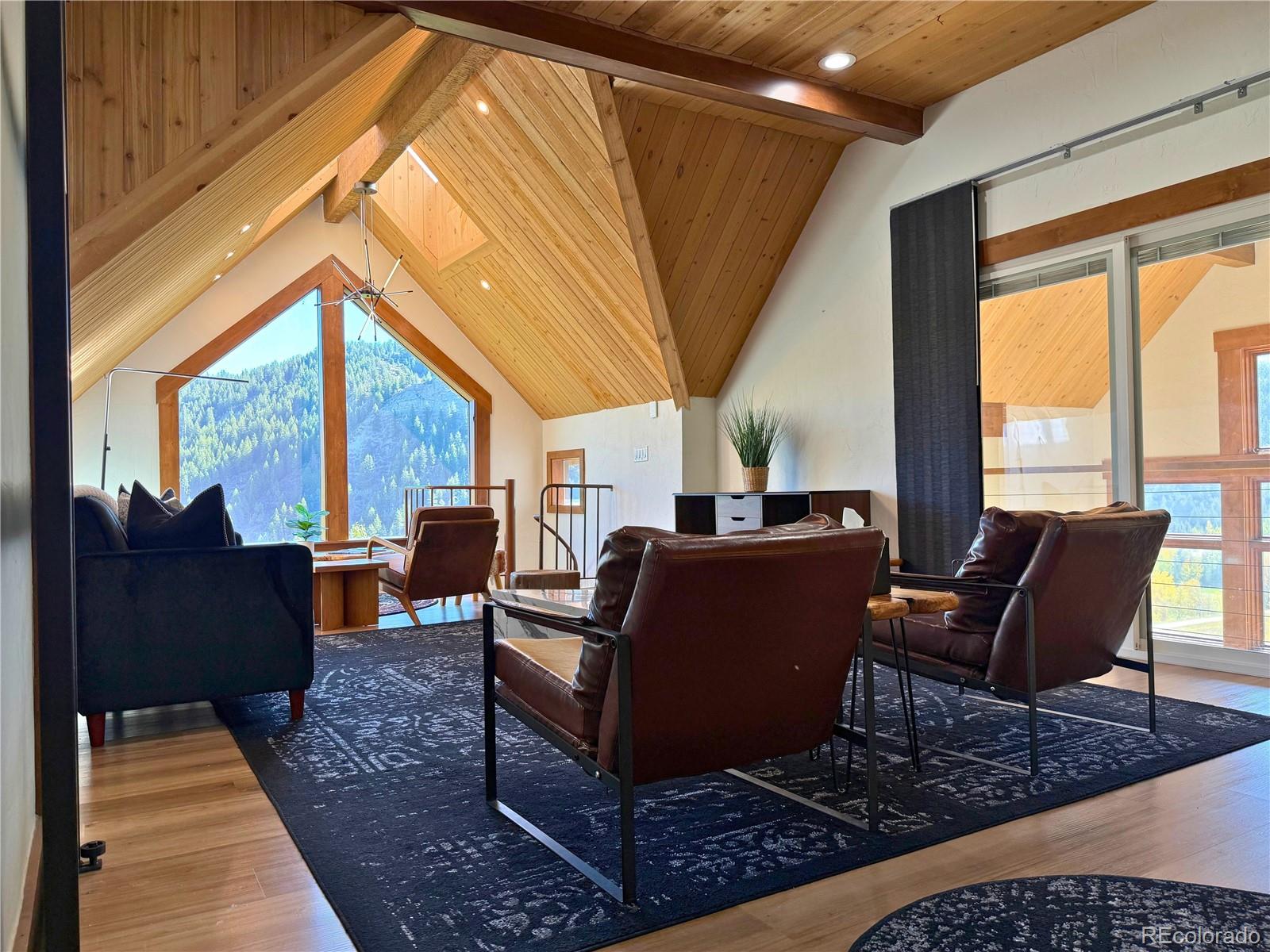 MLS Image #18 for 377  holden road,beaver creek, Colorado