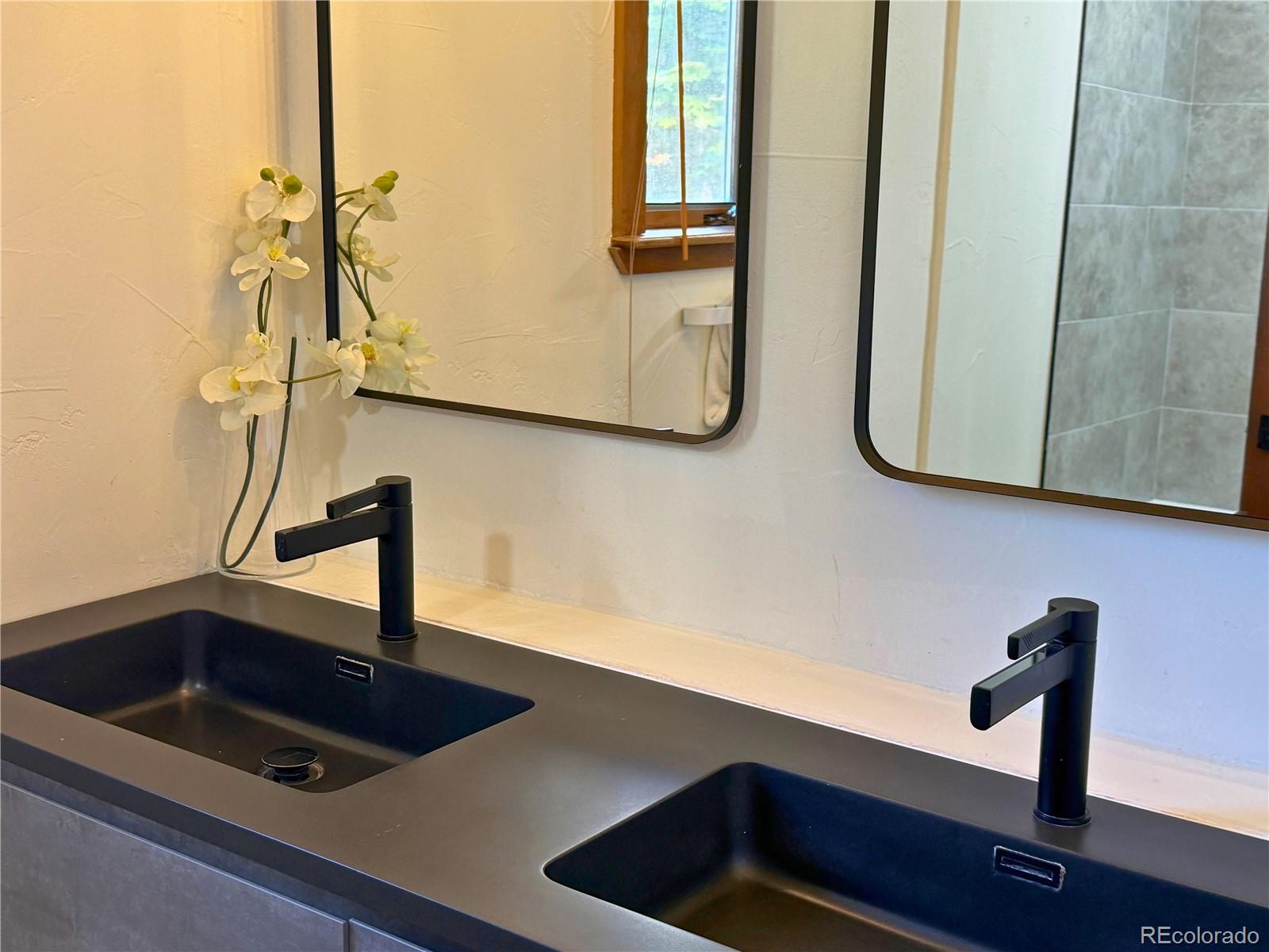 MLS Image #23 for 377  holden road,beaver creek, Colorado