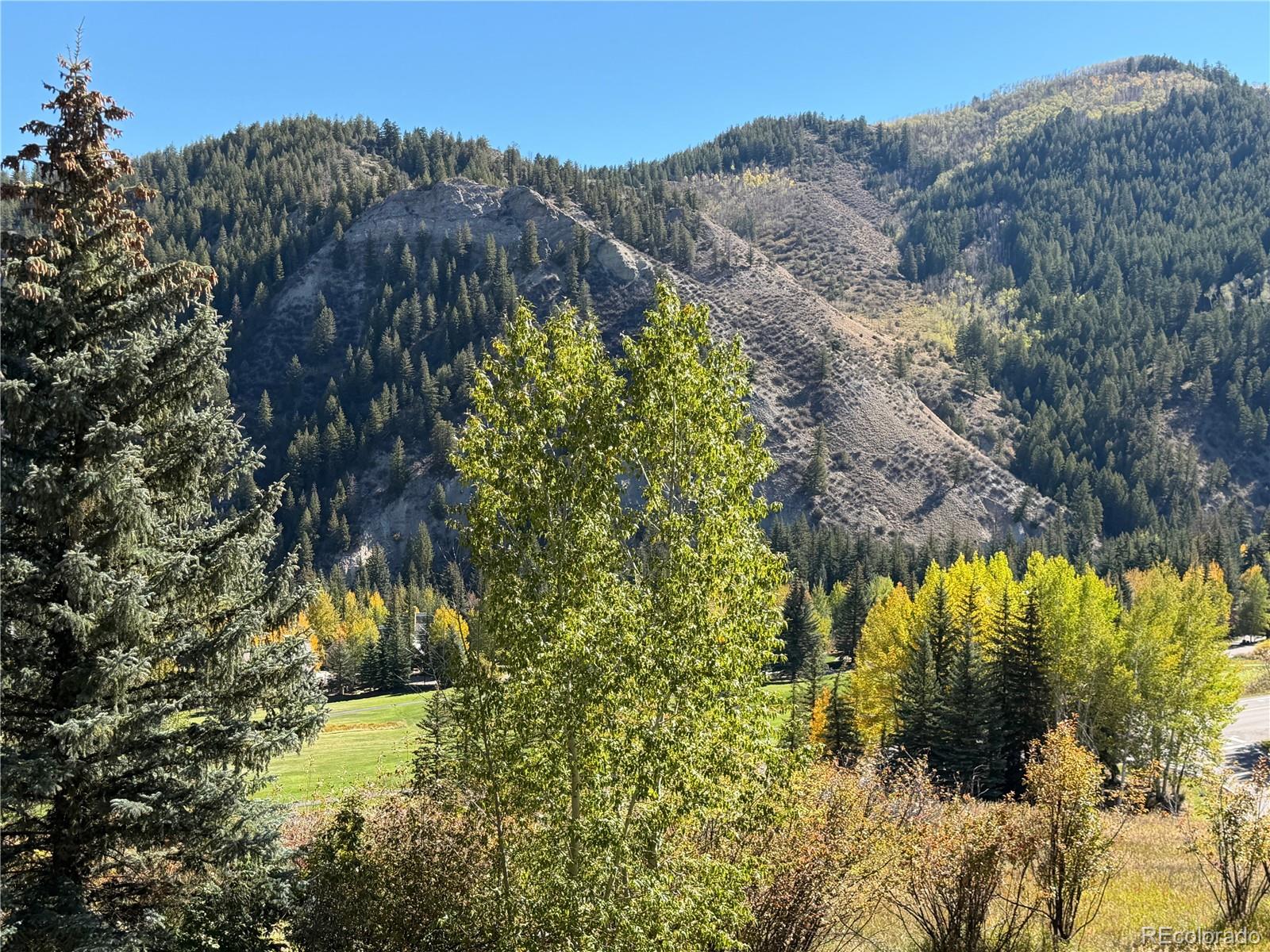 MLS Image #29 for 377  holden road,beaver creek, Colorado