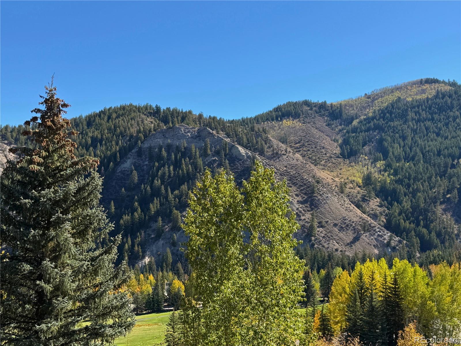 MLS Image #30 for 377  holden road,beaver creek, Colorado