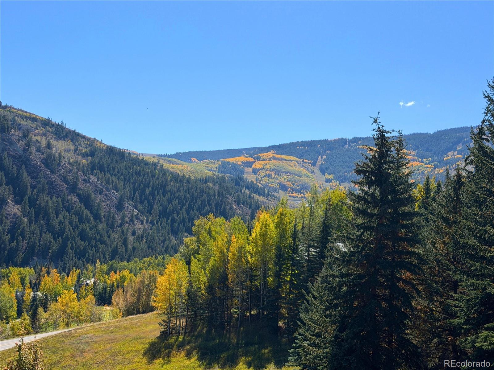 MLS Image #4 for 377  holden road,beaver creek, Colorado