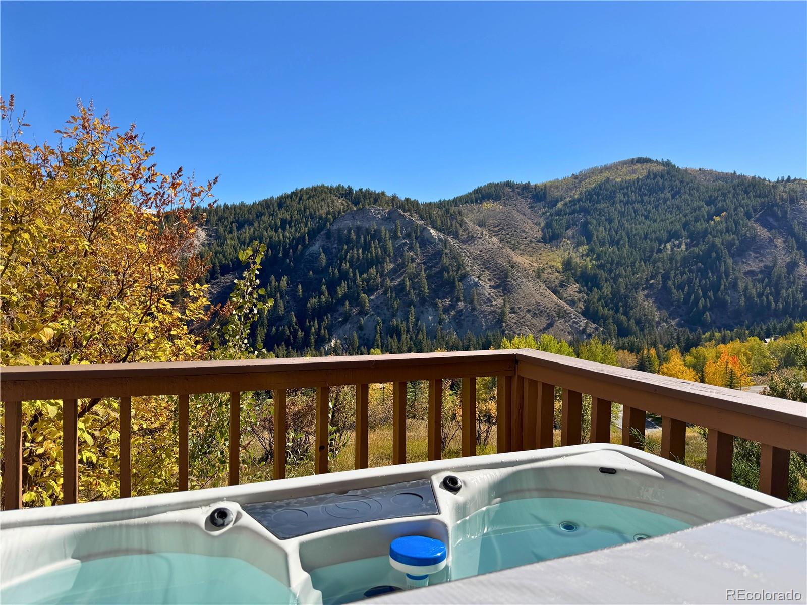 MLS Image #5 for 377  holden road,beaver creek, Colorado
