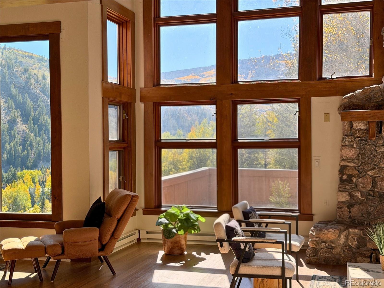 MLS Image #6 for 377  holden road,beaver creek, Colorado