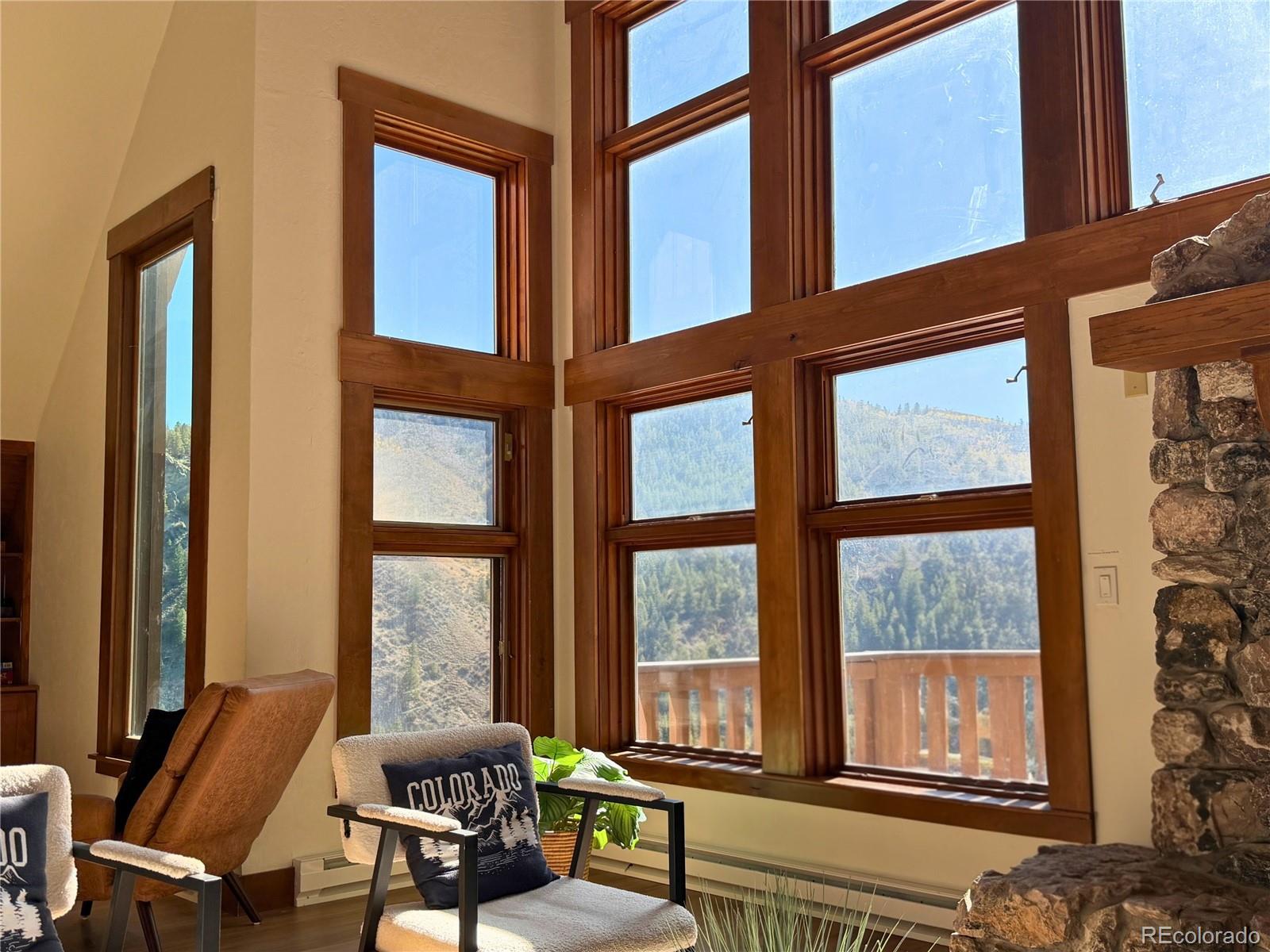 MLS Image #7 for 377  holden road,beaver creek, Colorado