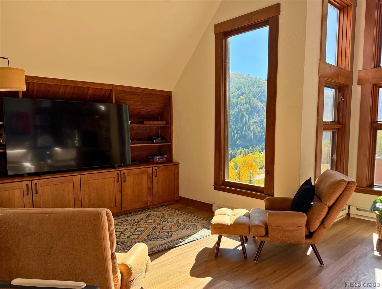 MLS Image #8 for 377  holden road,beaver creek, Colorado
