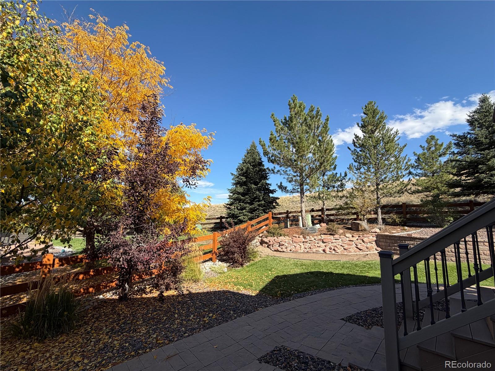 MLS Image #6 for 157  crosshaven place,castle rock, Colorado
