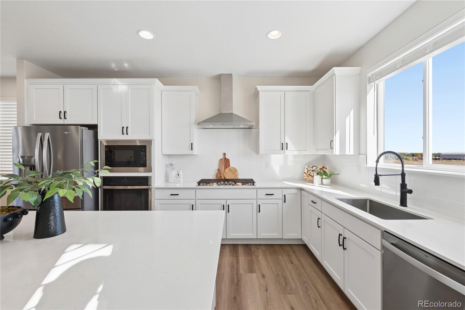 MLS Image #4 for 12300  farmview street,thornton, Colorado