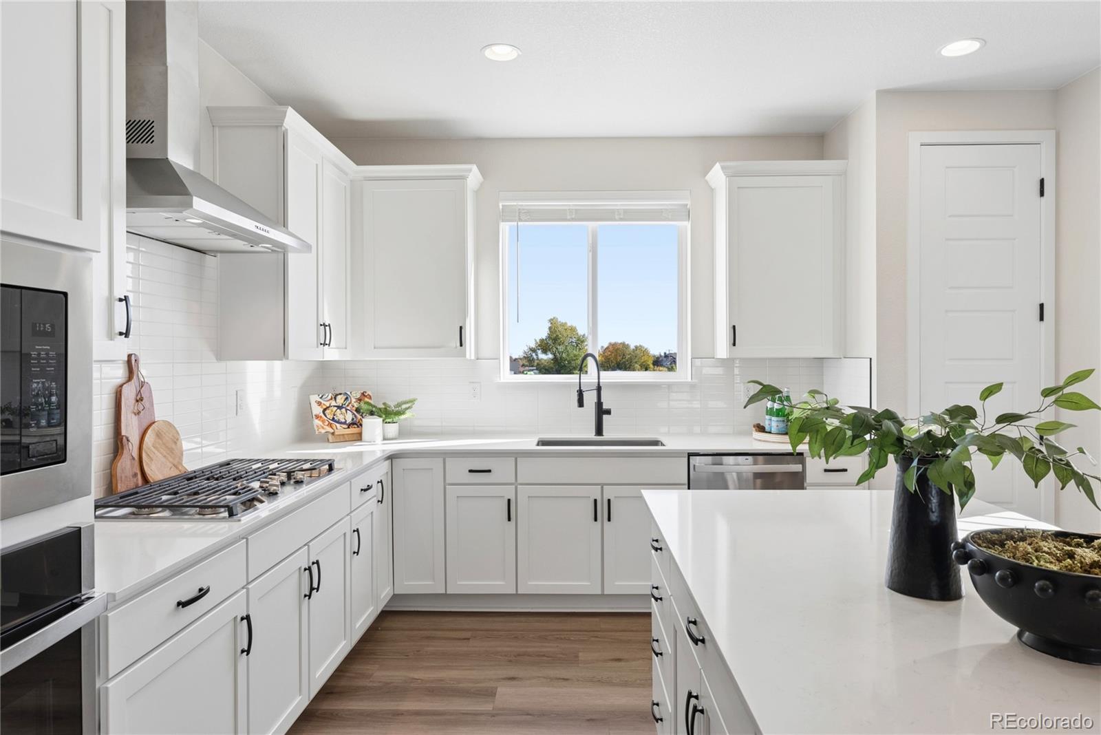 MLS Image #8 for 12300  farmview street,thornton, Colorado