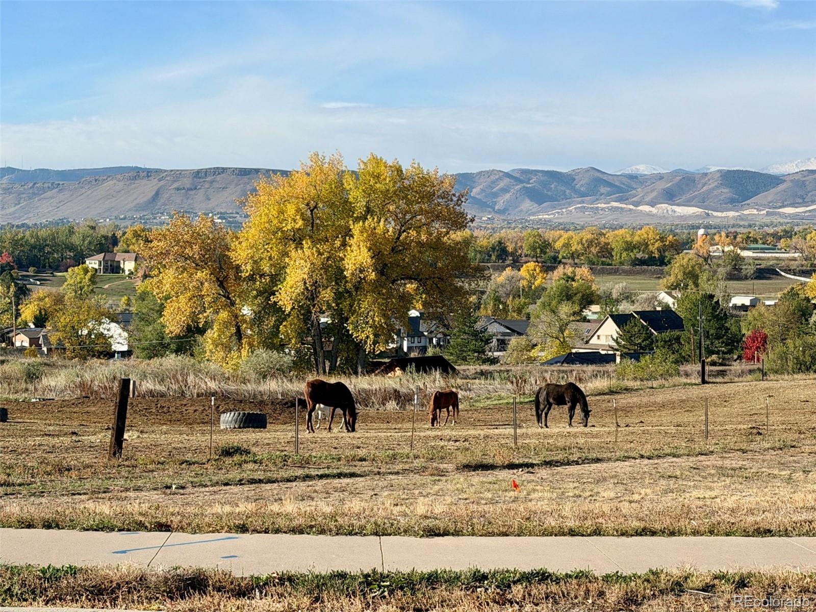MLS Image #32 for 13936 w 74th place,arvada, Colorado
