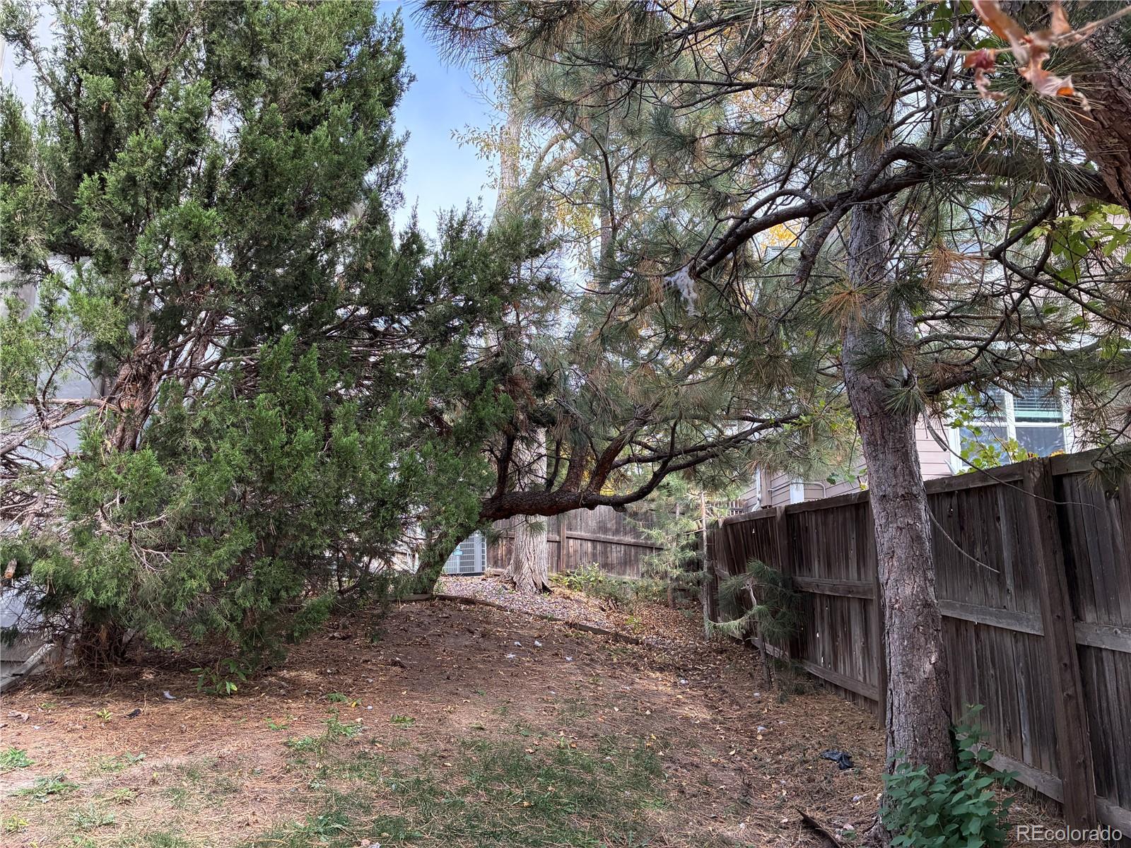 MLS Image #27 for 5287 s genoa way,centennial, Colorado