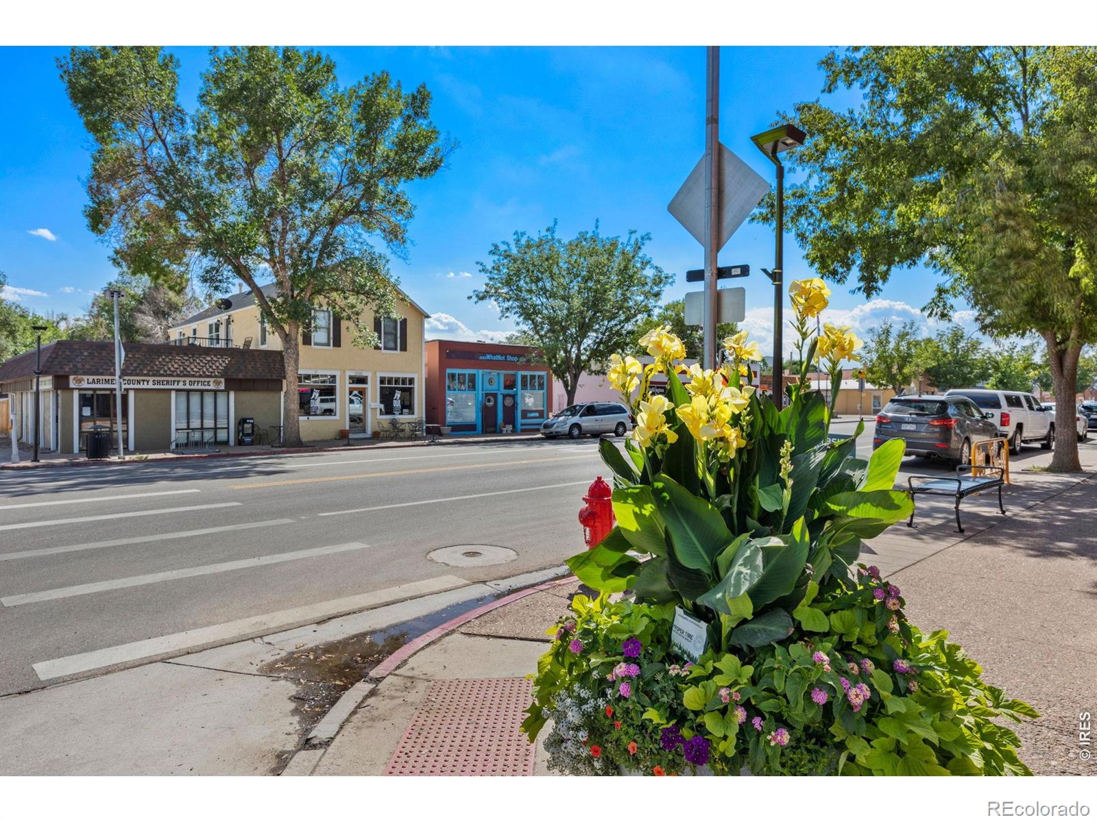 MLS Image #38 for 7062  sage meadows drive,wellington, Colorado