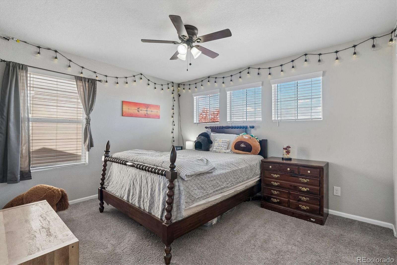 MLS Image #25 for 1770  cade avenue,castle rock, Colorado