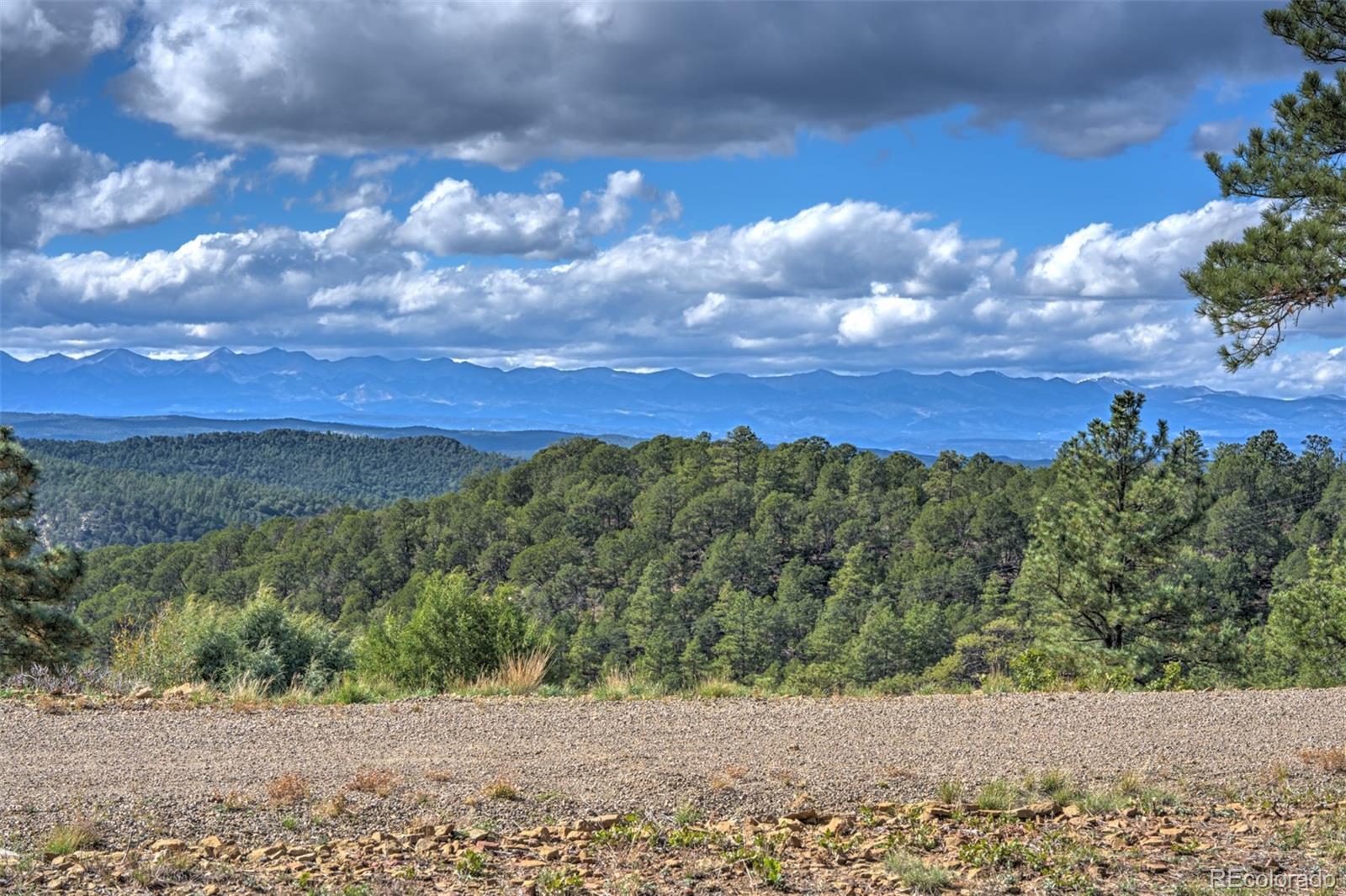 MLS Image #11 for 33082  tall timber trace,trinidad, Colorado