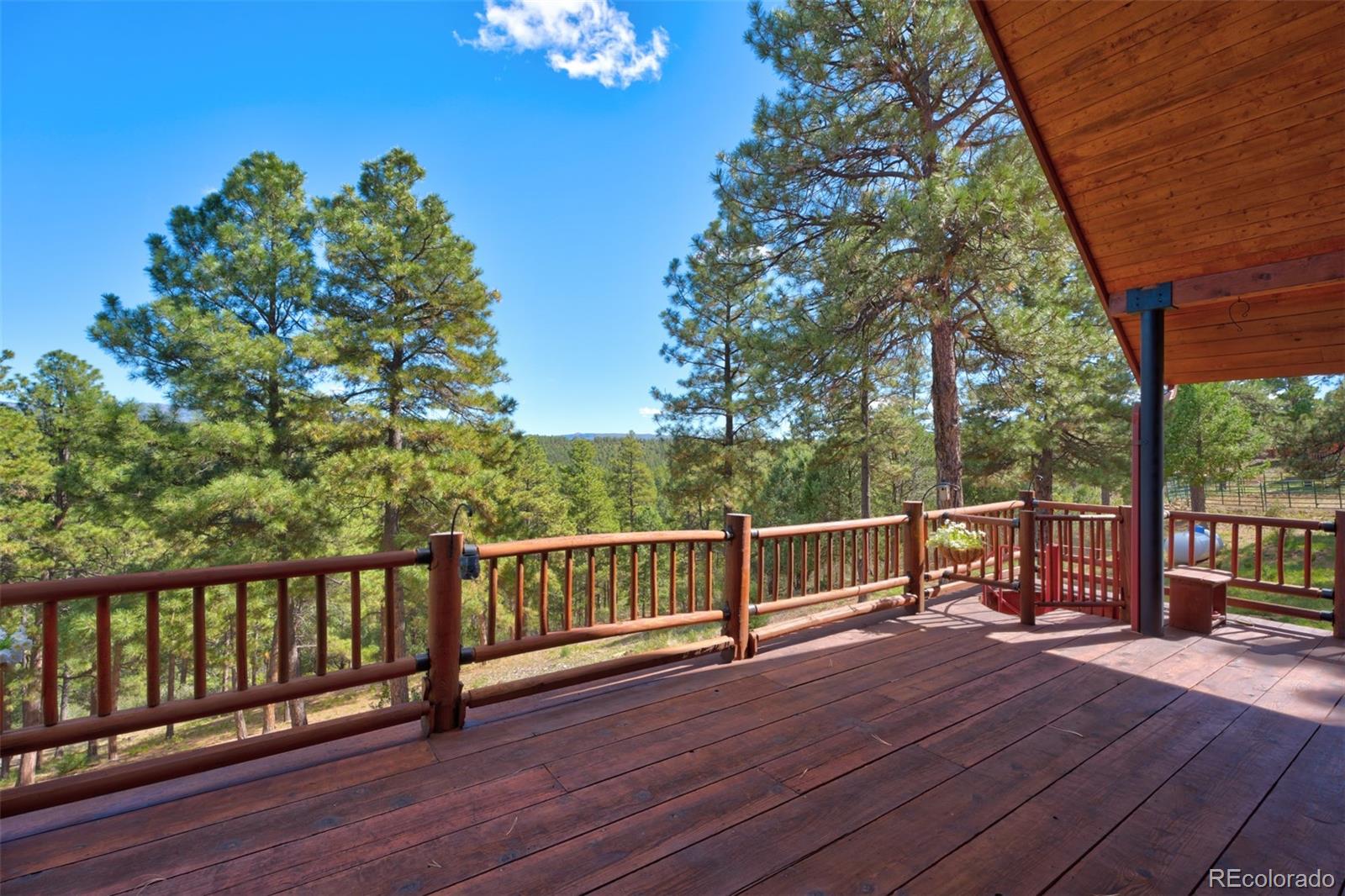 MLS Image #9 for 33082  tall timber trace,trinidad, Colorado