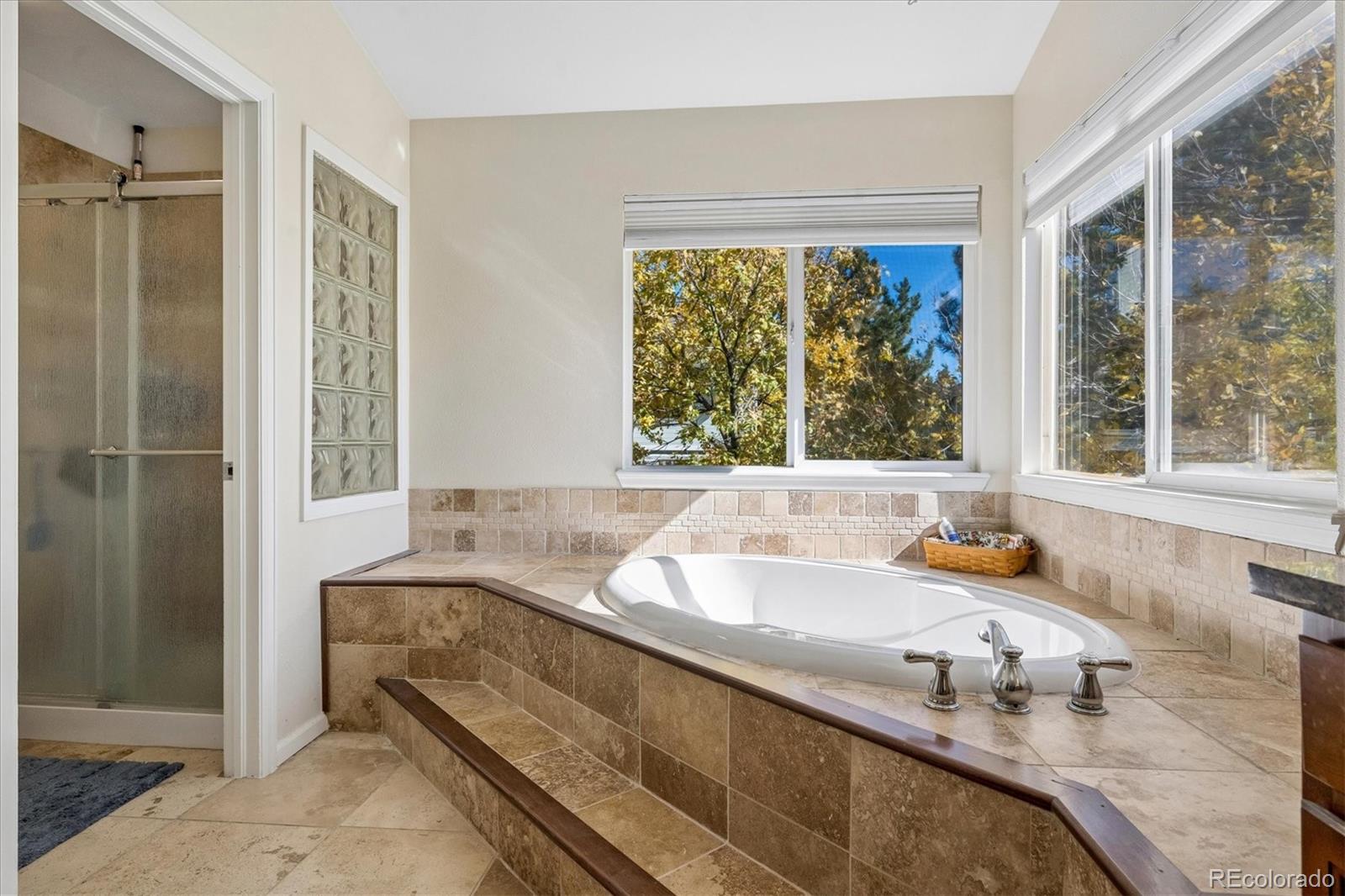 MLS Image #20 for 1384  shadow mountain drive,highlands ranch, Colorado