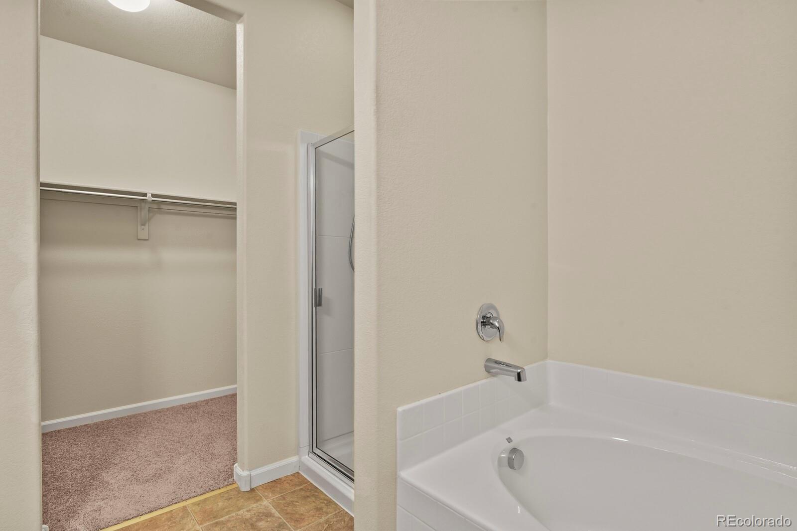 MLS Image #20 for 5111  liberty ridge ,dacono, Colorado