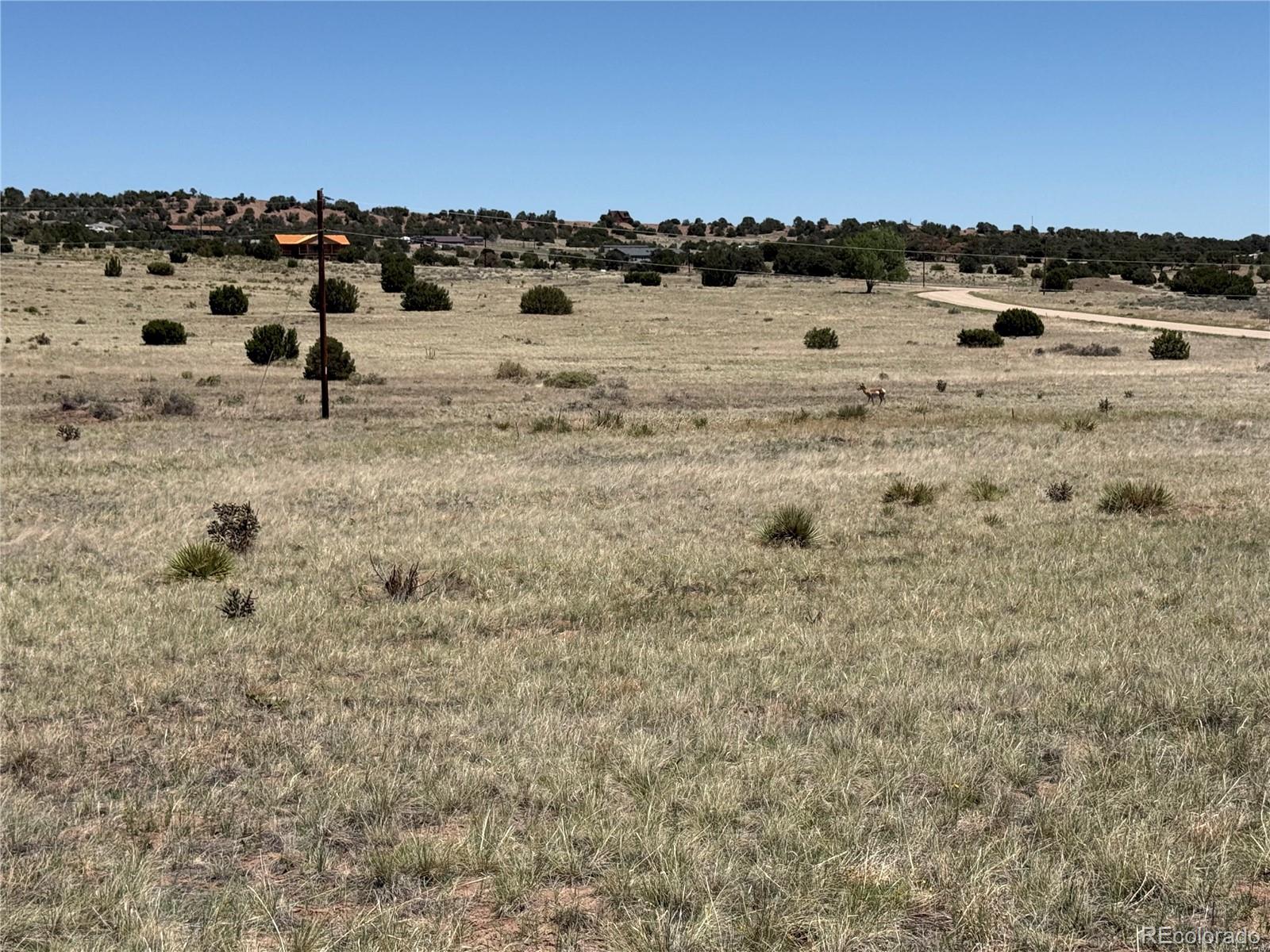 MLS Image #2 for 957  arapahoe drive,walsenburg, Colorado
