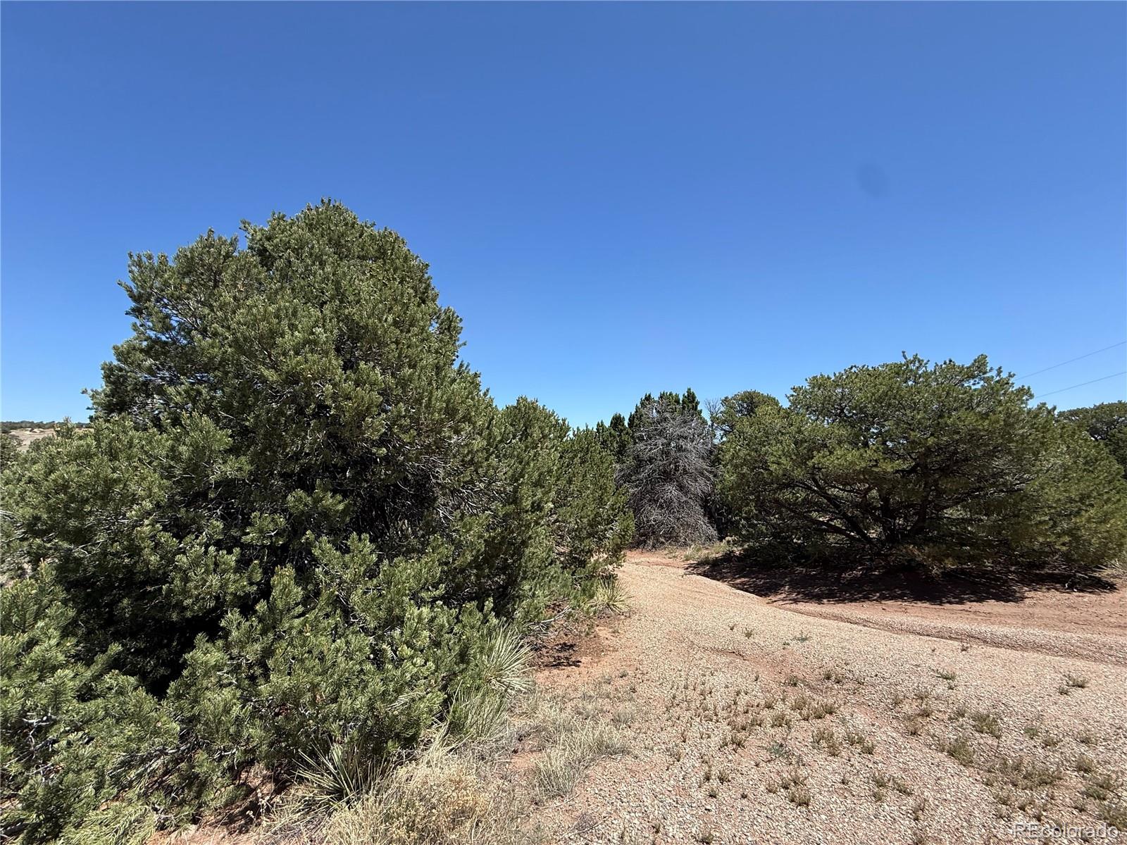 MLS Image #4 for 957  arapahoe drive,walsenburg, Colorado