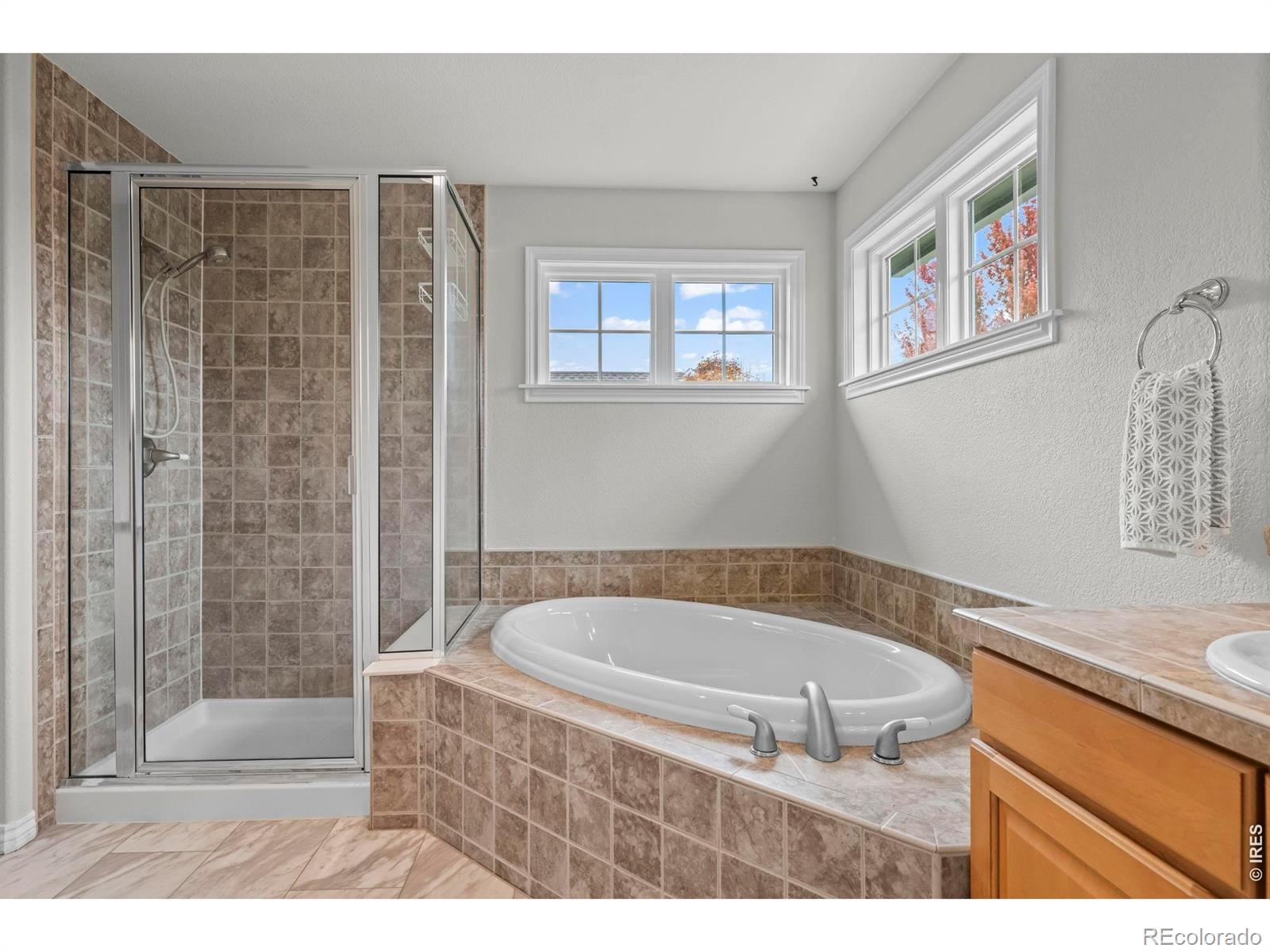 MLS Image #37 for 1305  greening avenue,erie, Colorado