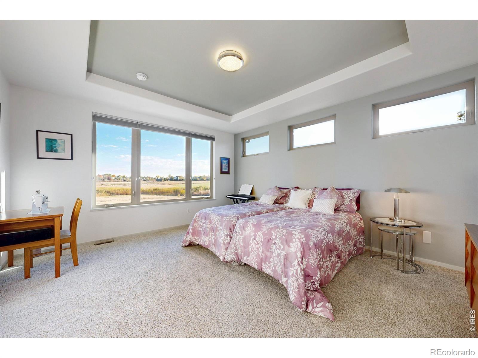 MLS Image #15 for 1074  prism cactus circle,loveland, Colorado
