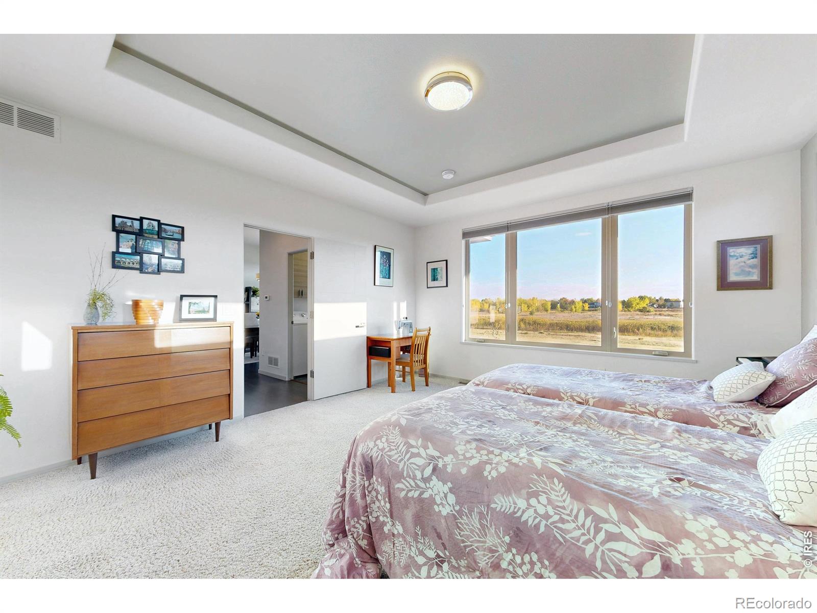 MLS Image #17 for 1074  prism cactus circle,loveland, Colorado
