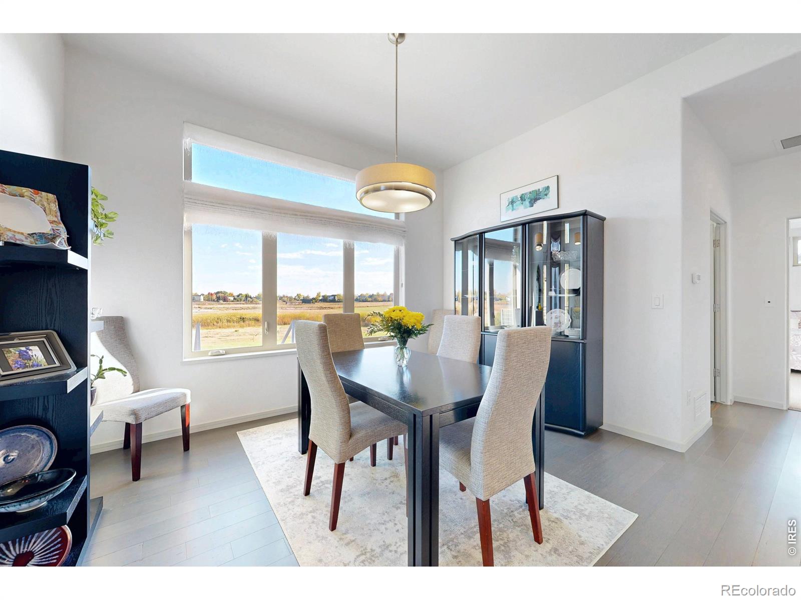 MLS Image #5 for 1074  prism cactus circle,loveland, Colorado