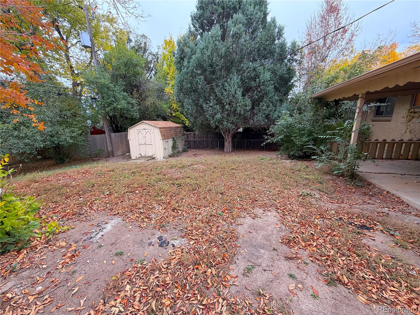 MLS Image #37 for 1950  independence street,lakewood, Colorado