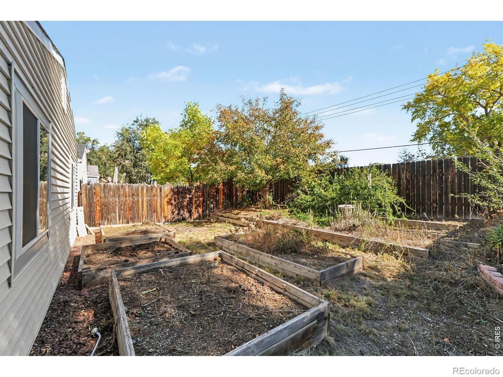 MLS Image #13 for 1216  meadow street,longmont, Colorado