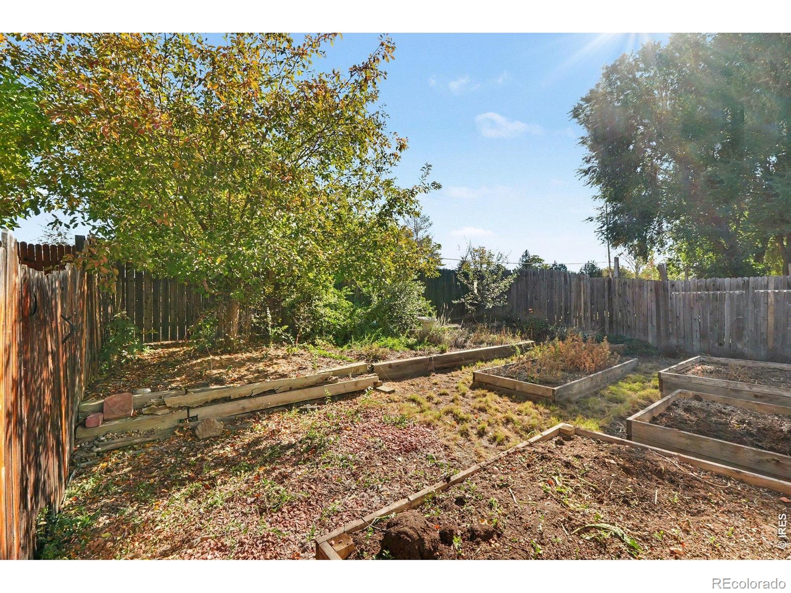 MLS Image #14 for 1216  meadow street,longmont, Colorado