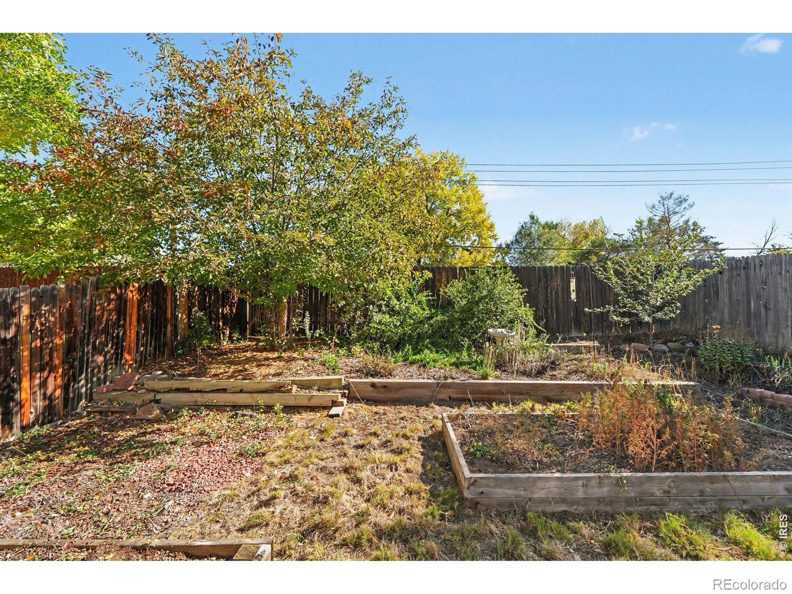 MLS Image #15 for 1216  meadow street,longmont, Colorado